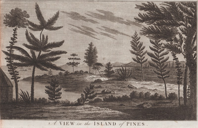 A View in the Island of Pines